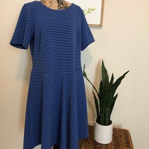 Eloquii plus size blue & black skater dress